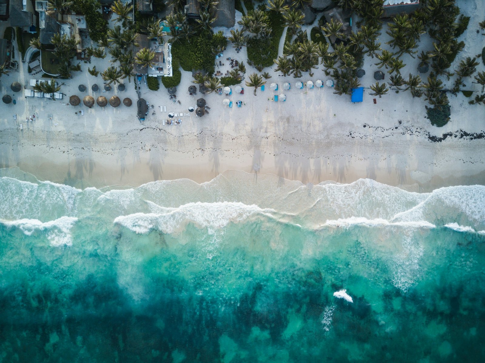Which Hurricane Protection System to Choose Based on Your Location (Oceanfront vs. Inland)