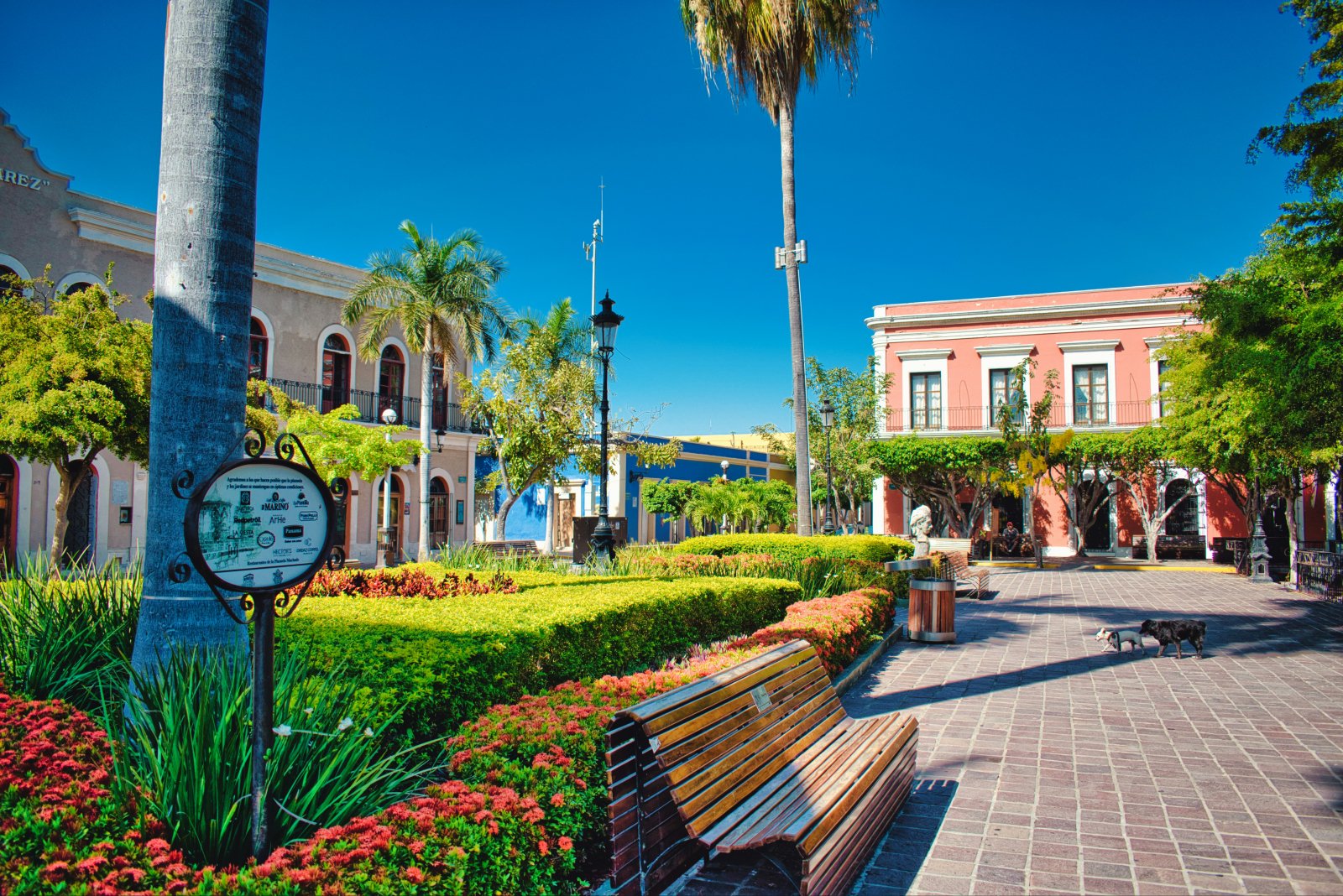 Do Mazatlán Properties Really Need Category 5 Protection?