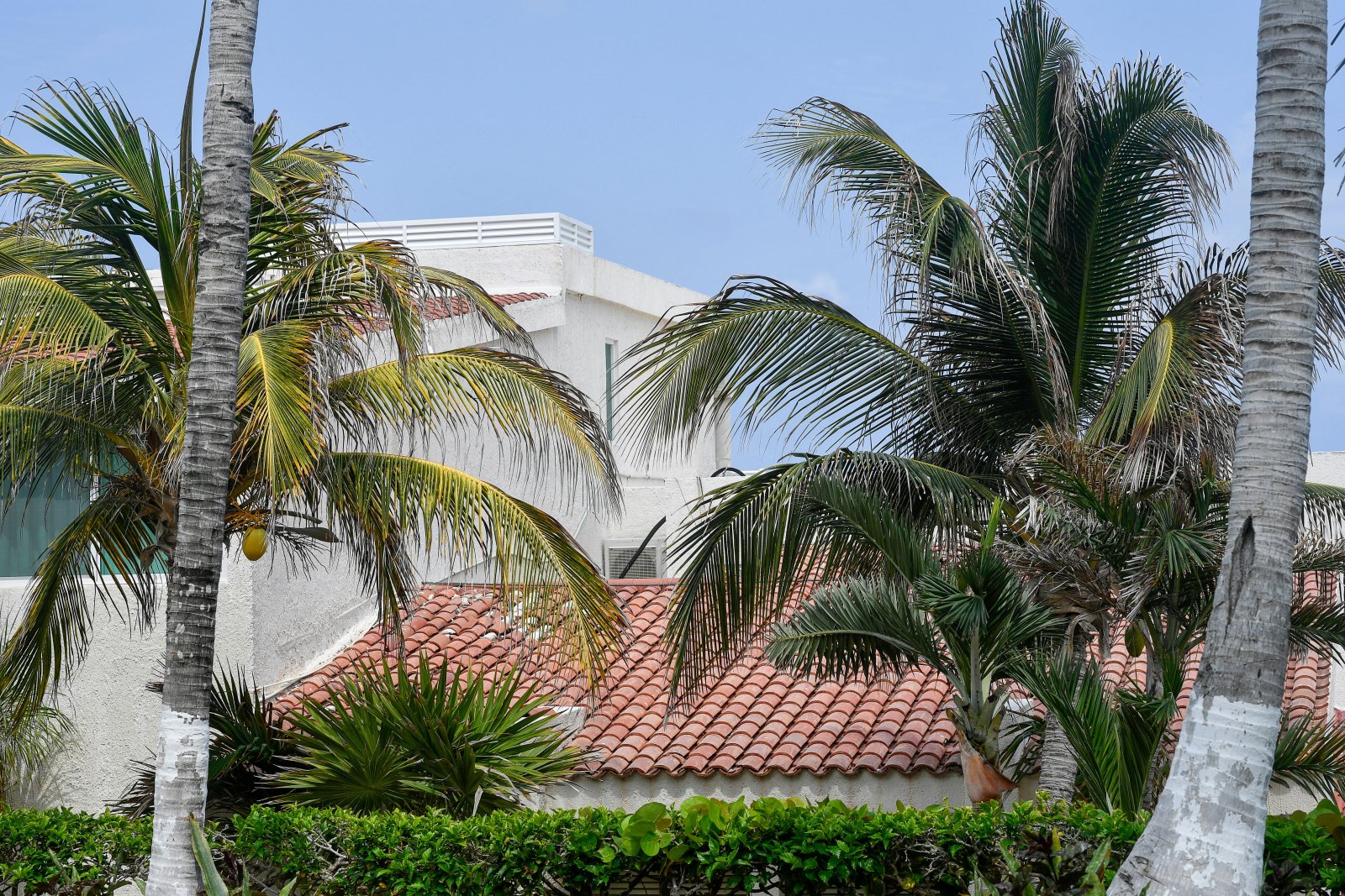 American Development Group y los Más de 20 Años de Hurricane Solution en la Costa Mexicana