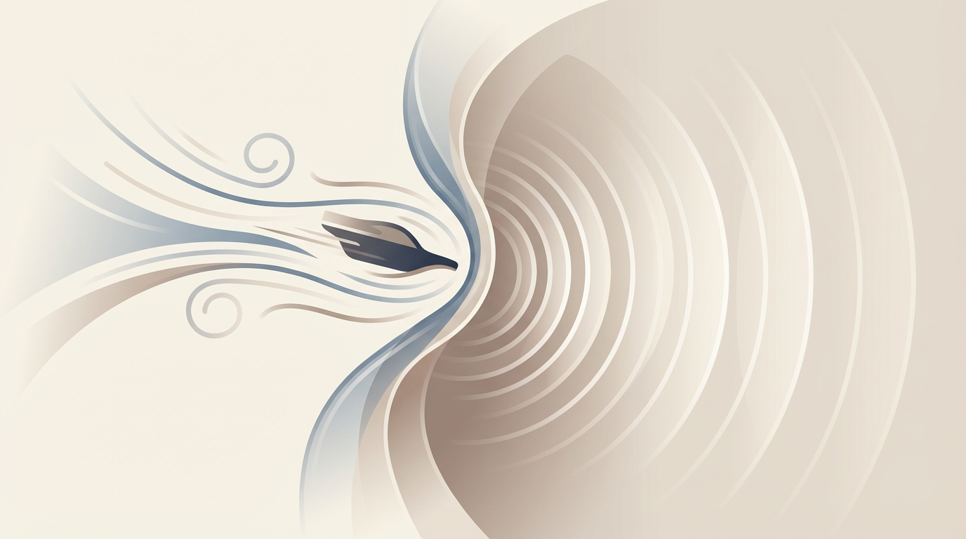 Impacto del viento y los escombros: por qué los hurricane protection screens importan